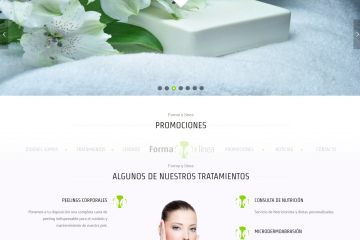 Web Franquicia Forma y Linea